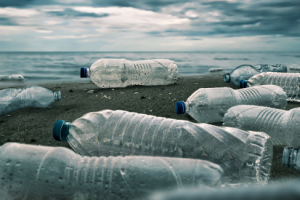 image of plastic garbage