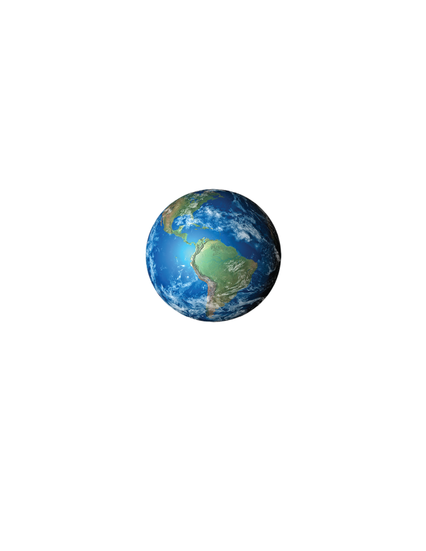 white wss logo no tag