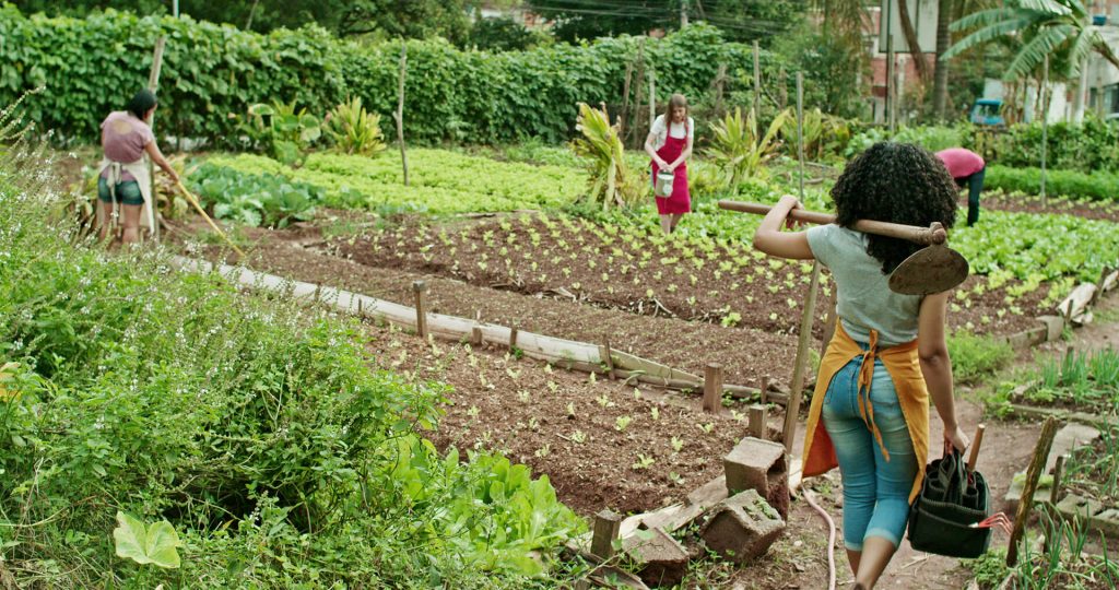 image of a community garden
