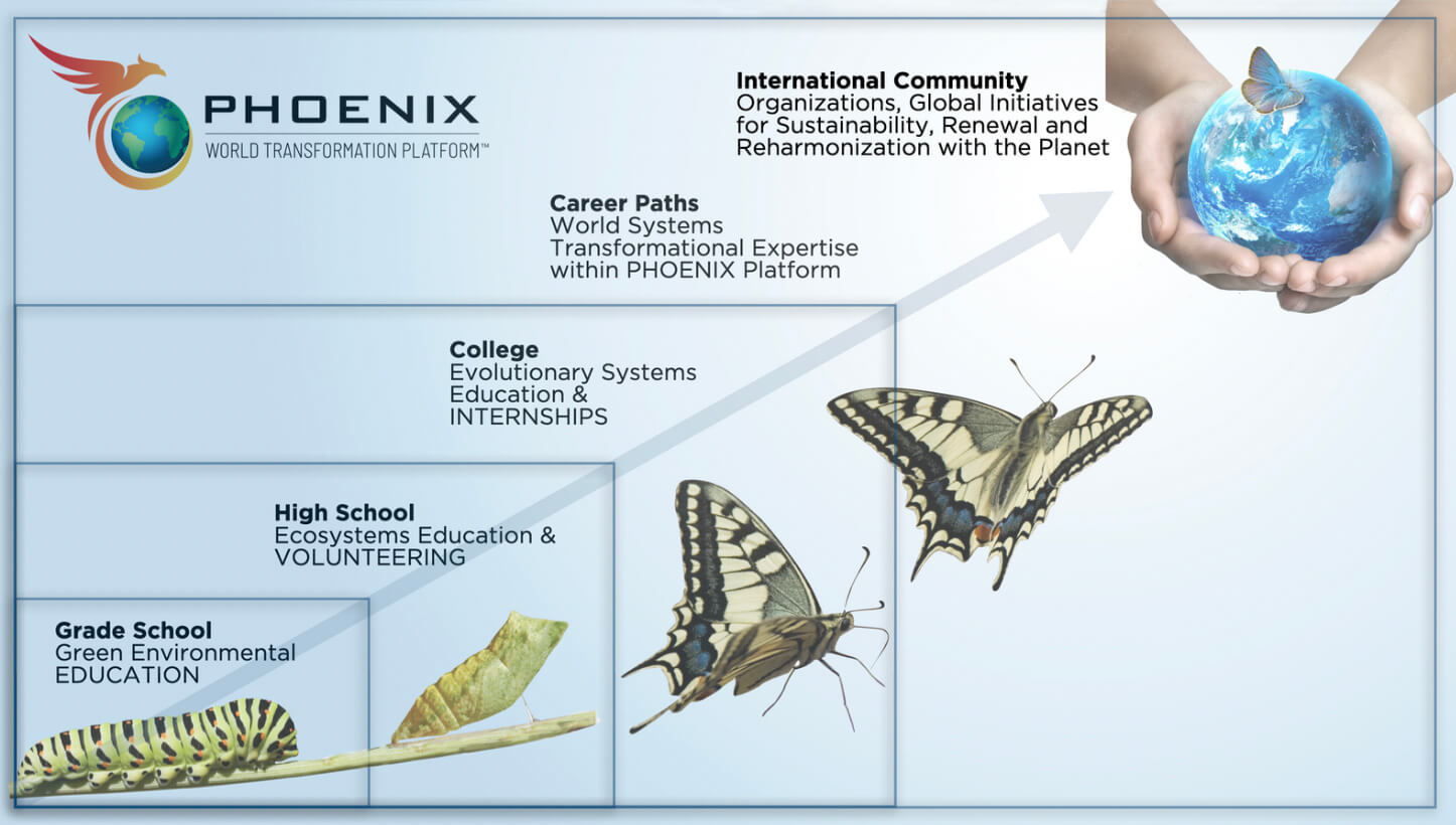 climate education metamorphosis