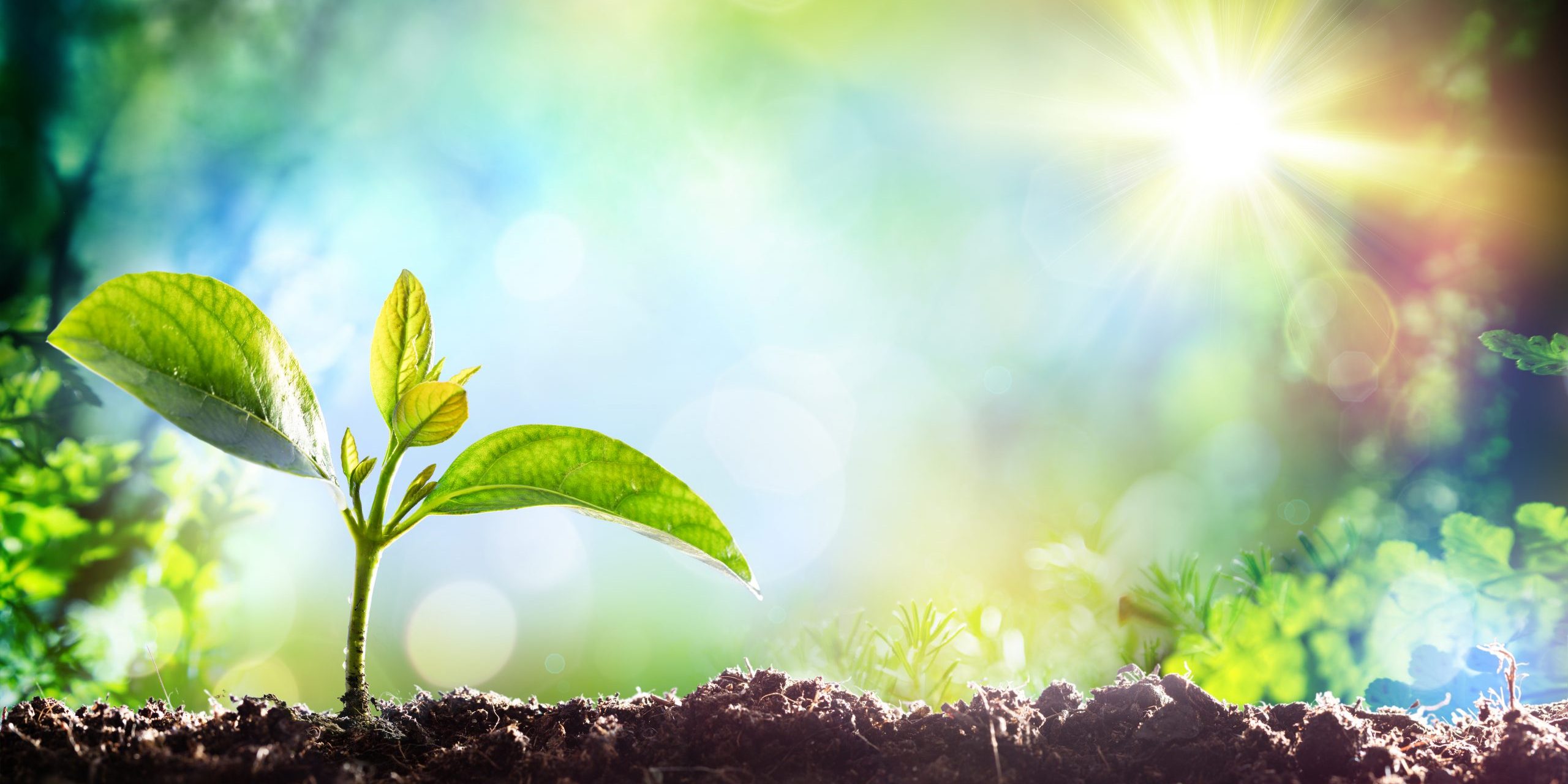 shutterstock_364952021